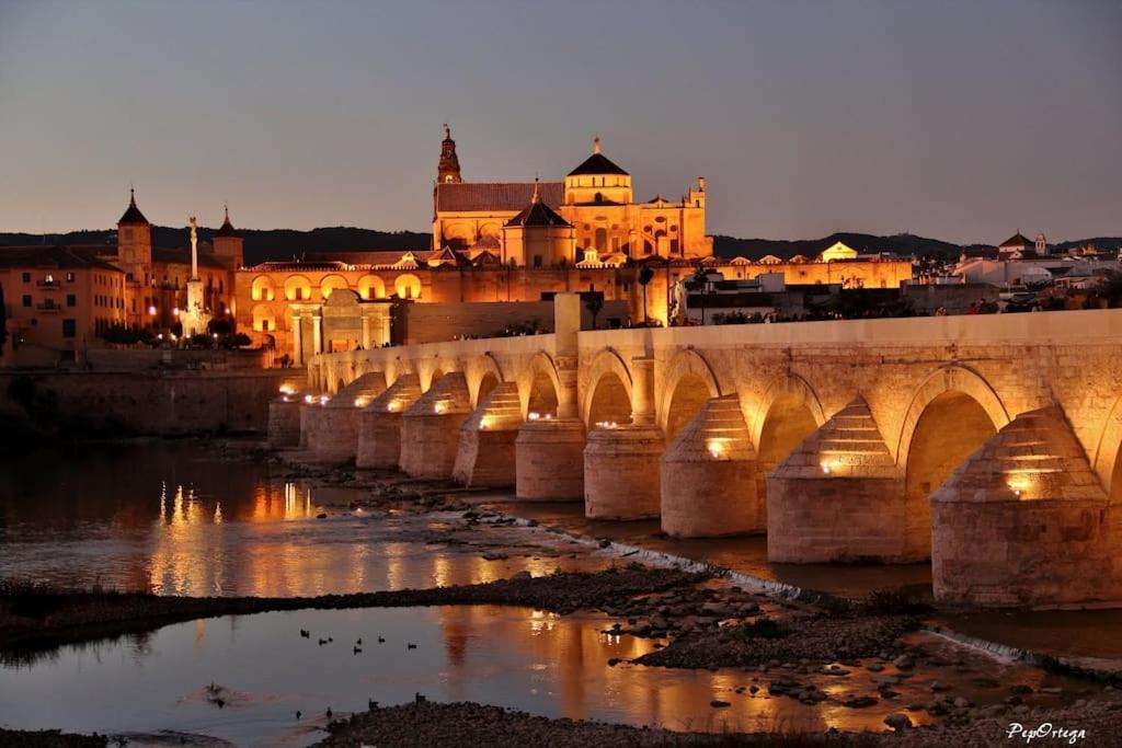 Apartamento Loft Al-Nasir Junto Al Casco Historico 科爾多瓦 外观 照片