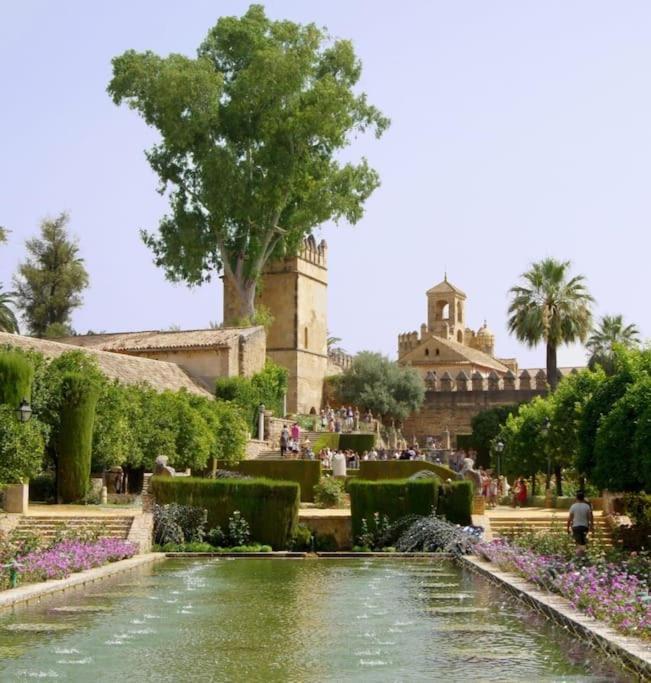 Apartamento Loft Al-Nasir Junto Al Casco Historico 科爾多瓦 外观 照片